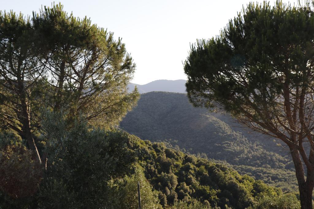 Locanda Mossa Dei Barbari Buriano  Bagian luar foto